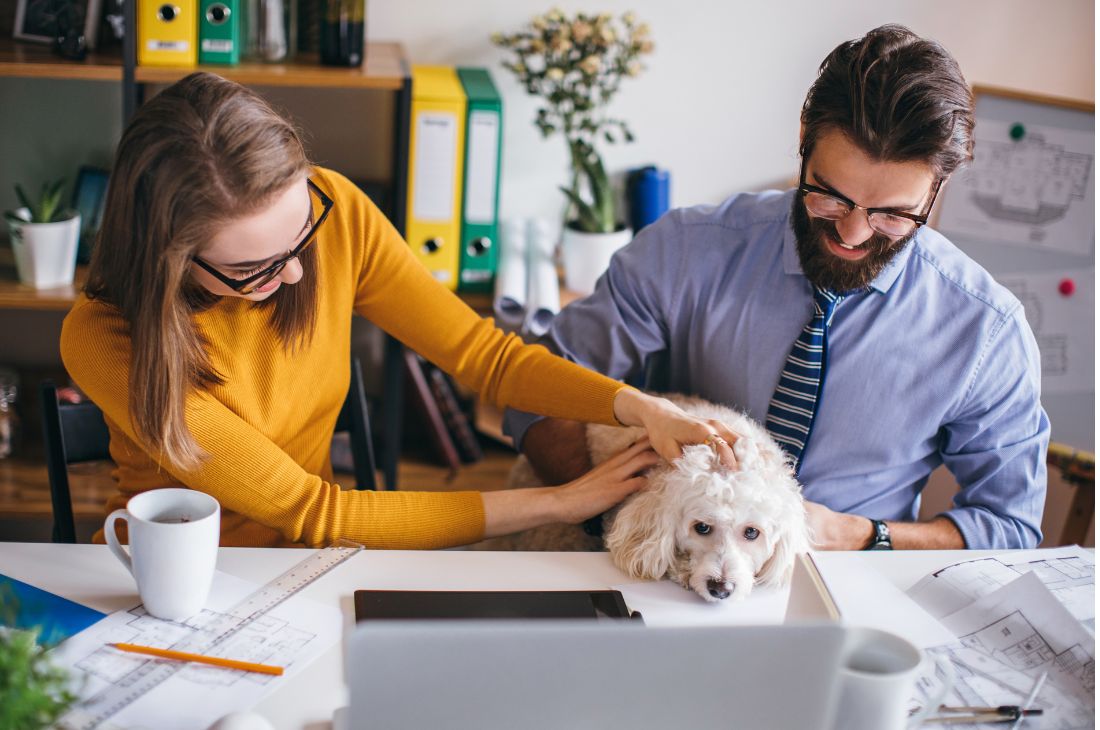 La cultura laboral Pet Friendly