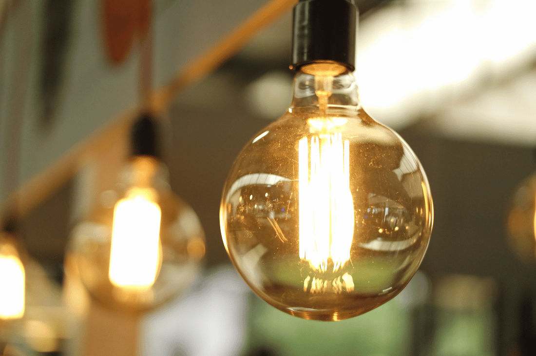 ¿Cómo enfrentar el alza eléctrica en nuestra peluquería canina?
