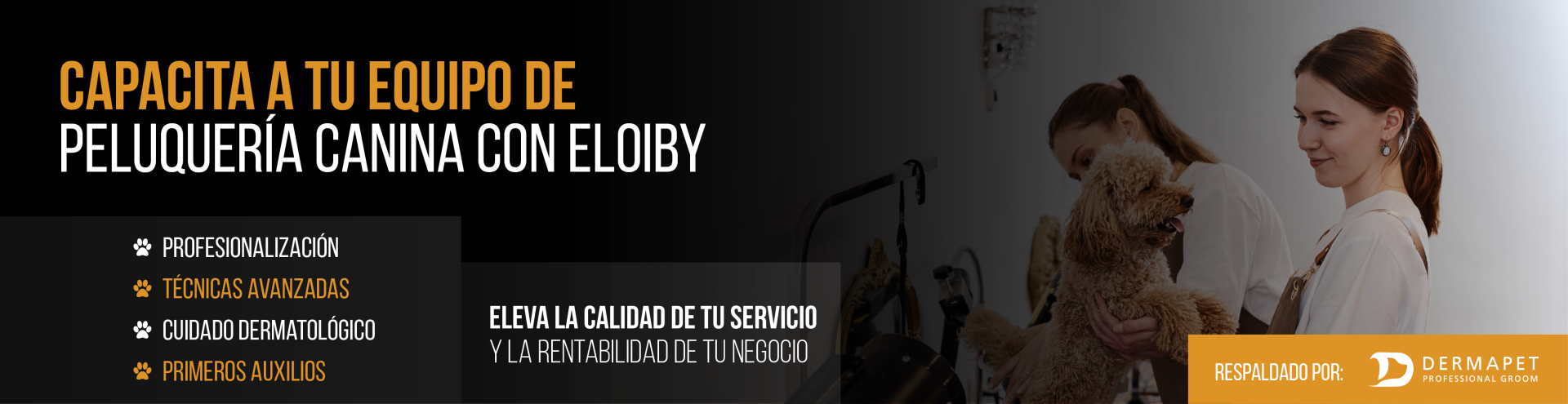 shampoo para caballos